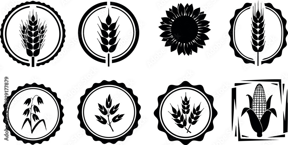 Fototapeta premium Wheat and corn grain black silhouette vector icons set with round decorative frames natural agriculture design elements