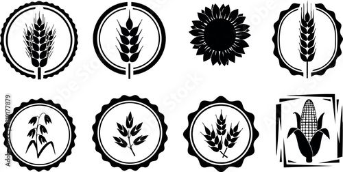 Wheat and corn grain black silhouette vector icons set with round decorative frames natural agriculture design elements