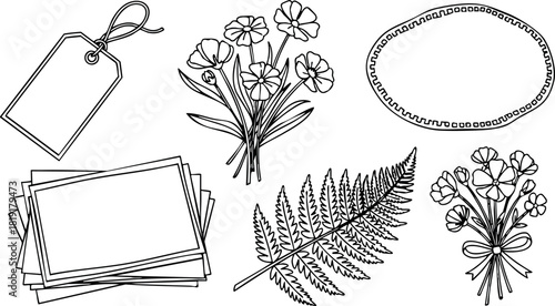 Vintage botanical flower and fern illustration with blank tags and frames for decorative design elements vector