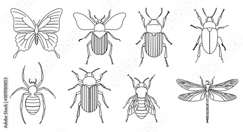 Collection of various insect outlines including butterfly, beetles, spider, and dragonfly, isolated on