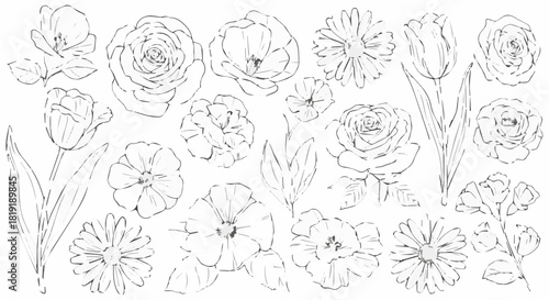 Elegant floral sketch isolated on featuring roses, tulips, and daisies in a delicate line art style