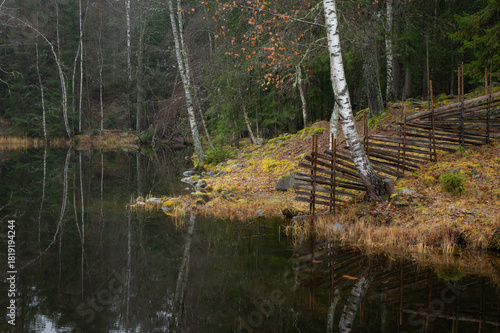 Trees reflected in a pond on a cold autumn day.