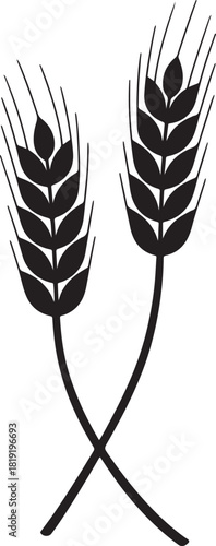 Zwei Weizenahren clean silhouette vector illustration