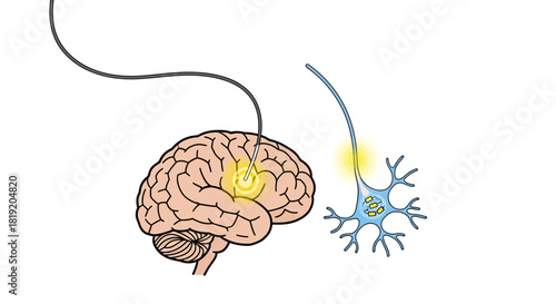Brain Sending Signal to Neuron Illustration.