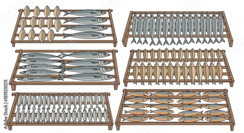 Set of six detailed illustrations of fish on wooden drying racks.