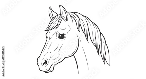 Elegant equine line art featuring a detailed horse head portrait on clean white background