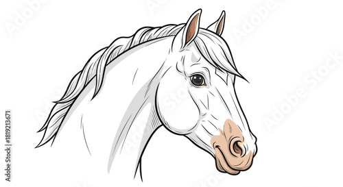 Elegant white horse head illustration displaying graceful lines and delicate shading providing a