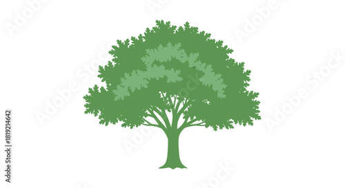 Green tree silhouette against white backdrop symbolizing nature's resilience and quiet beauty