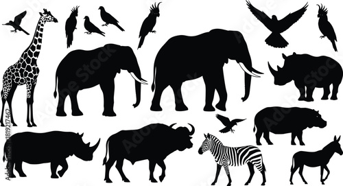 African animal silhouettes, bird and beast collage, wildlife diversity, black and white design, nature icons, safari illustration, fauna art