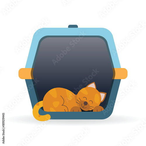 Cat sleeping in a carrier bag 