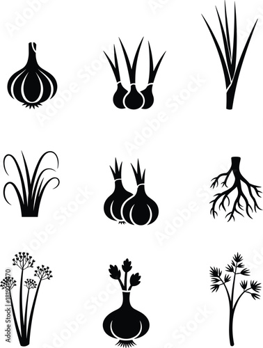 Black silhouette onion plants and roots collection, botanical herb icons, vegetable illustration set for farming, gardening, agriculture design