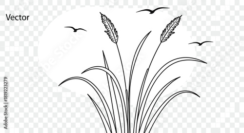 Black and white vector, tall grass silhouette, flying birds, nature minimalism, transparent background, decorative design, peaceful scene, line art