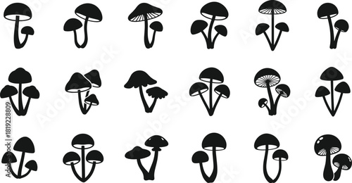 Mushroom silhouette set, black fungus icons, vector nature collection, toadstool symbols, forest food illustration, isolated graphic elements.