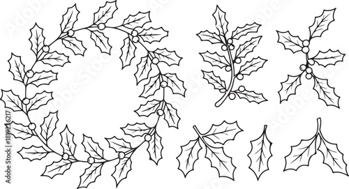 Elegant line art depicts a holly wreath with sprigs and individual leaves, transparent background