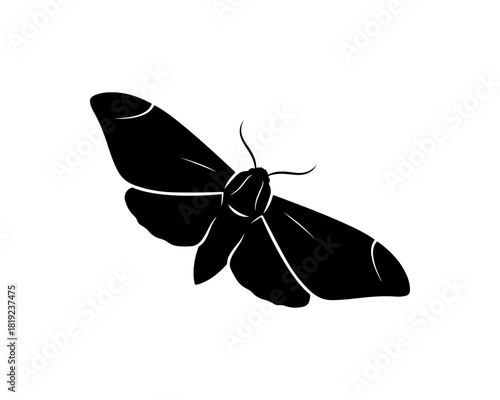 Elegant and minimalist black silhouette vector illustration of a moth with intricate wing details, perfect for design projects and natural themes