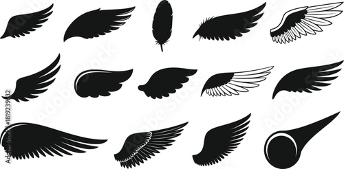 Collection of various angel and bird wings silhouettes for design elements