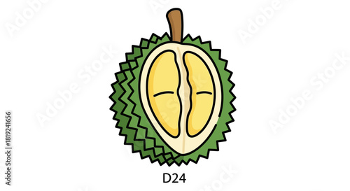 Cartoon illustration of a D24 durian fruit cut in half.