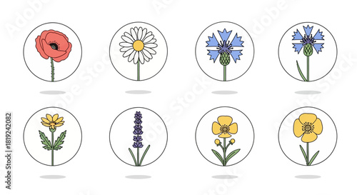Collection of colorful wildflower icons in a minimalist line art style.