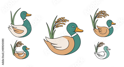 Cute cartoon ducks with rice stalks illustration.