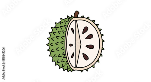 Hand drawn soursop fruit illustration cut in half showing pulp and seeds.
