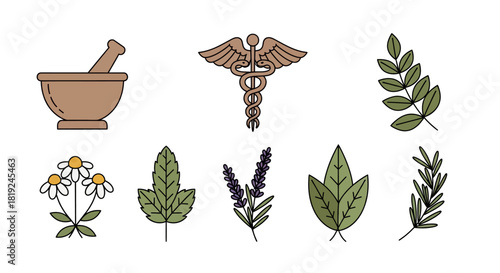 Herbal Medicine and Healthcare Symbols Collection.