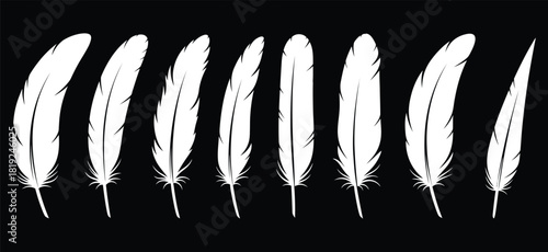 Elegant white feather silhouettes against a black background for creative designs