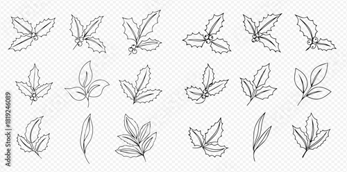 Collection of minimalist line art drawings featuring various botanical leaves and festive holly branches with berries.