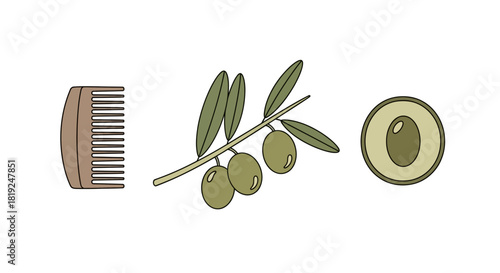Natural beauty and hair care icon set with wooden comb and olive branch.
