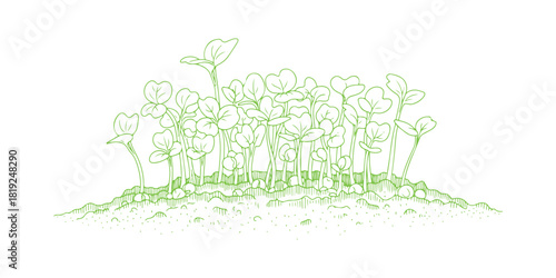 A hand-drawn doodle showing microgreens sprouting from the soil. It's a black and white line art illustration perfect for eco-friendly designs, organic food, healthy living  and farm markets.