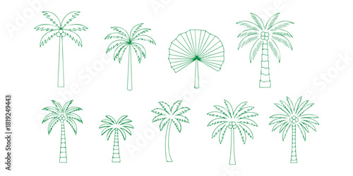 Place palm icons isolated against a white backdrop. Tropical trees, tropic forest. Vector illustration
