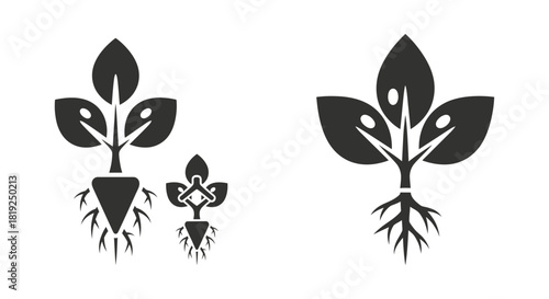 Stylized Plant Growth Icons with Roots and Leaves.