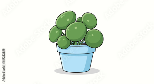 Whimsical illustration of a potted Chinese money plant set against a clean backdrop