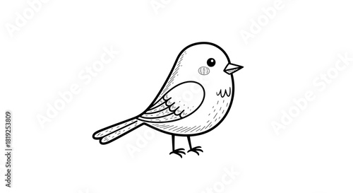 Whimsical avian illustration: charming bird sketch with fine details and graceful lines
