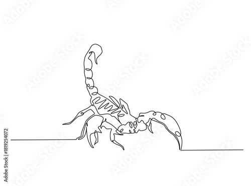 Continuous line art drawing of scorpion animal. Scorpio line art illustration. Editable stroke.
