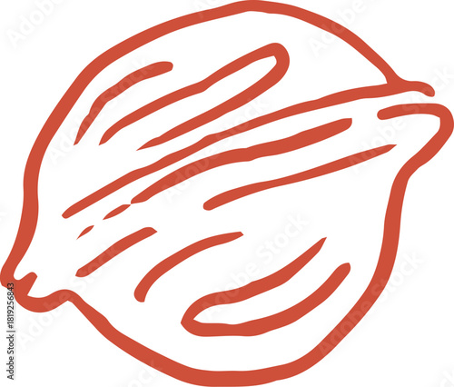 Whimsical line art illustration of walnut . Vector vintage cottagecore Christmas hand drawn doodle.