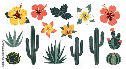 A vibrant collection of tropical flowers, leaves, succulents, and various cacti, perfect for botanical themes and design elements.