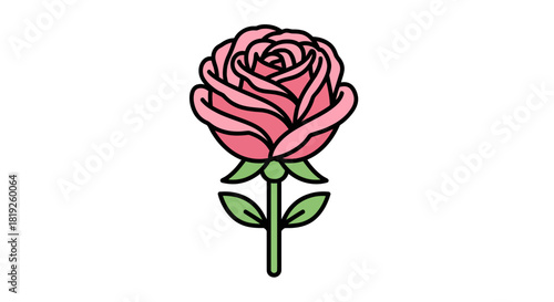 Delicate pink rose with defined black outlines capturing botanical simplicity and beauty