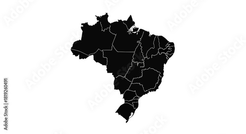 Detailed vector outline of Brazil highlighting its administrative divisions offering a clean