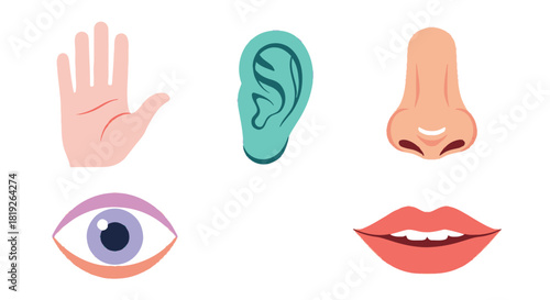 Illustrative depiction of human sensory organs eye ear nose mouth and hand
