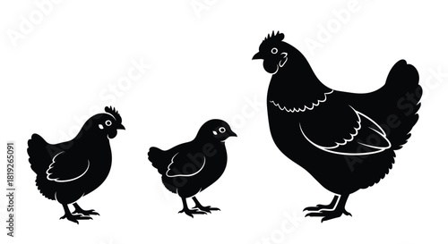A hen with two chicks in a simple black and white illustration