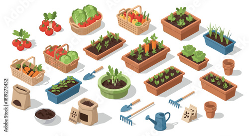 Isometric urban gardening: raised beds, potted plants, and tools for home farming