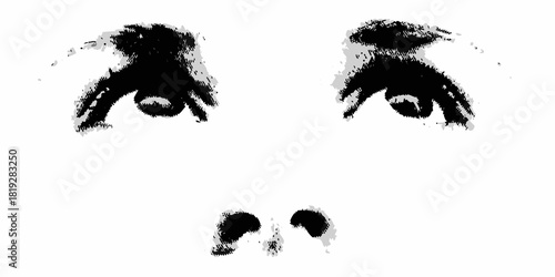 Abstract graphic illustration of human eyes and nose on white background