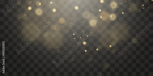 Vector bokeh lights effect isolated on transparent background. Soft blured bokeh and lights png