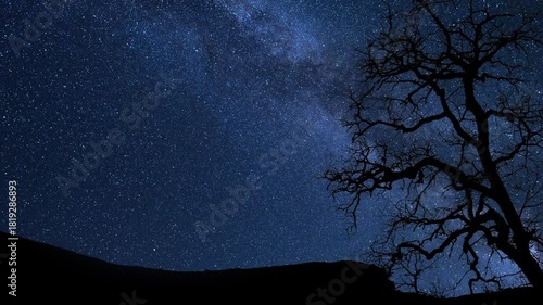 Silhouette of the dry tree on the Milky Way galaxy background time-lapse. 
