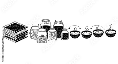 Detailed illustration of a fermentation process with stacked ingredients, jars, and bowls.