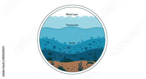 Illustration of Ocean Layers with Sunlight, Twilight, Midnight Zones.