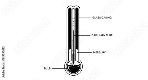 Illustration of a Mercury Thermometer with Labeled Parts.