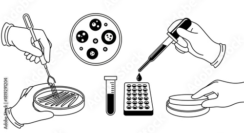 Laboratory Procedures - Petri Dishes, Pipettes, and Test Tubes in Scientific Research.