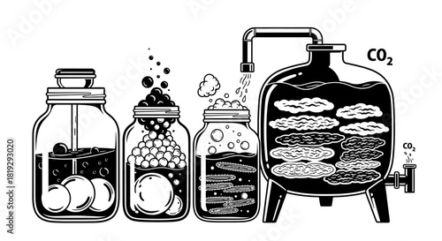 Scientific Fermentation Process in Jars and Tank.