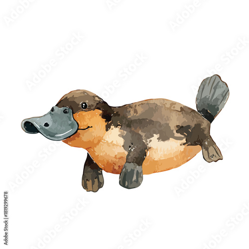 Adorable Platypus Illustration Unique Australian Wildlife Character.